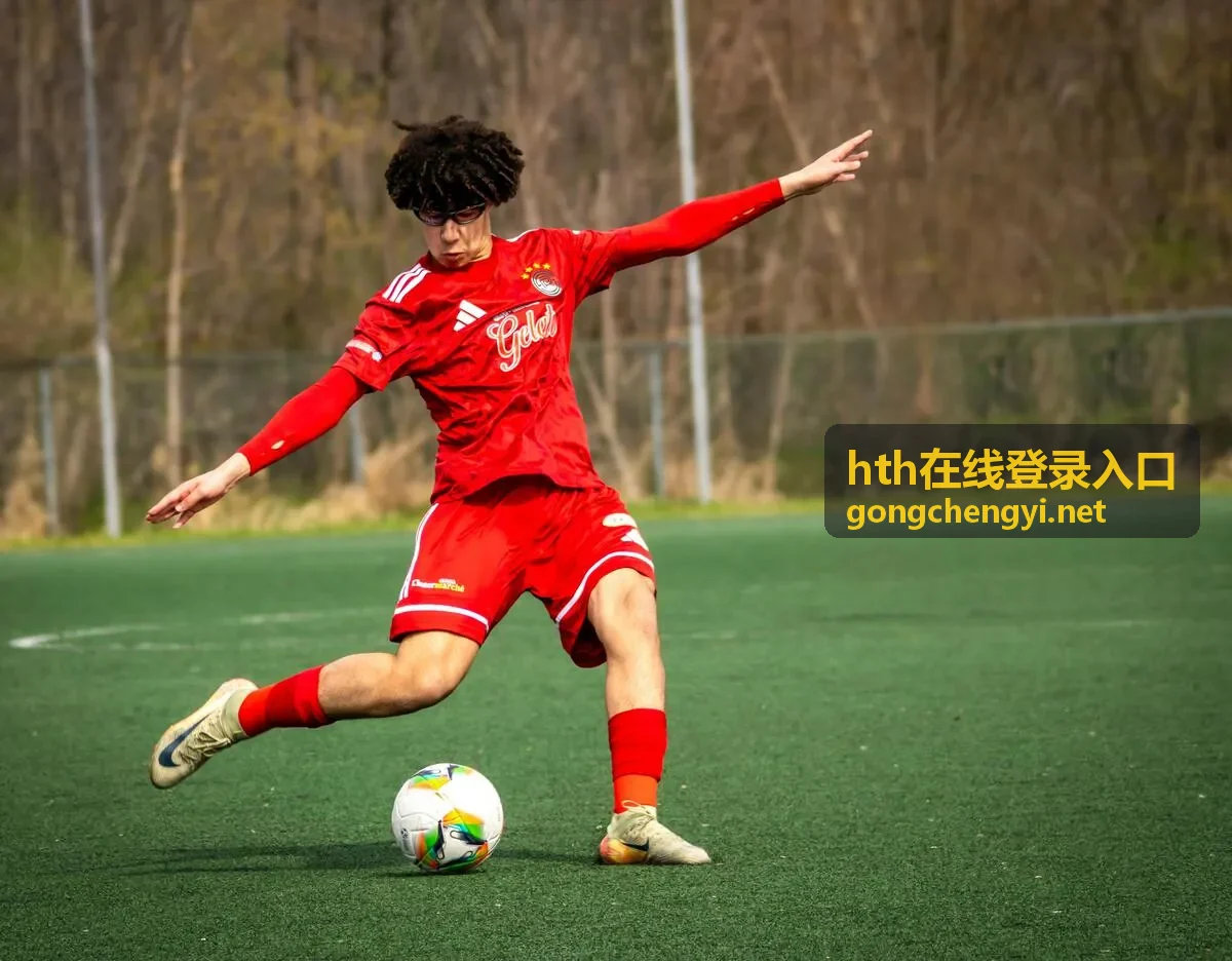 hth在线登录入口密码管理功能示意