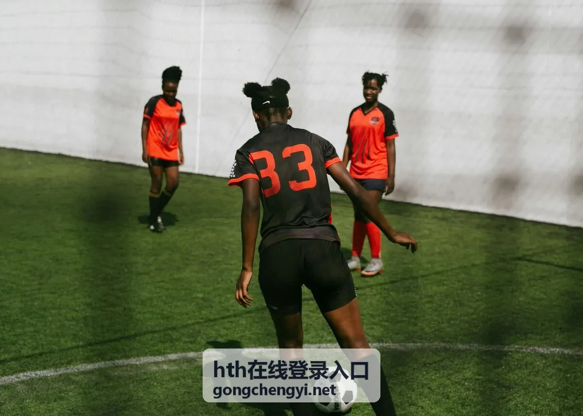 hth在线登录入口身份验证环节操作示意